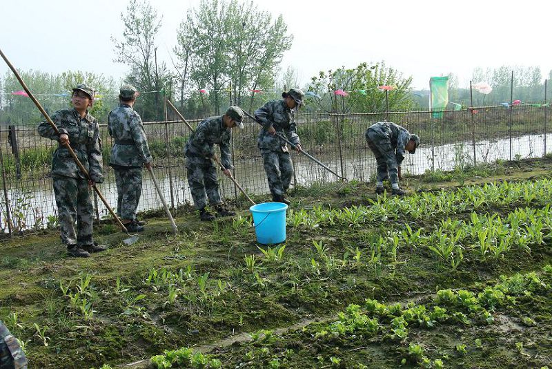 解决问题青少年叛逆的好办法是什么(图1)